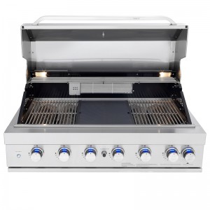 6 Burner Built-in Barbeque Grill