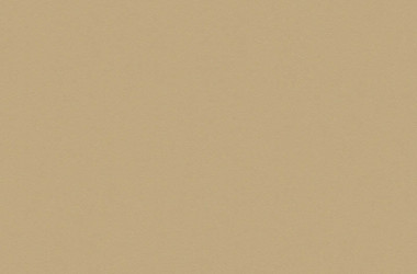 10  Polytec pure gold leaf